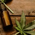 What is the difference between thc and cbd in terms of effects on the body and mind?